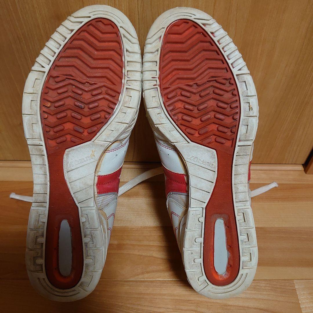 希少　レア物　バレーボール　RUNBIRD　MIZUNO　29.0cm　河合俊一