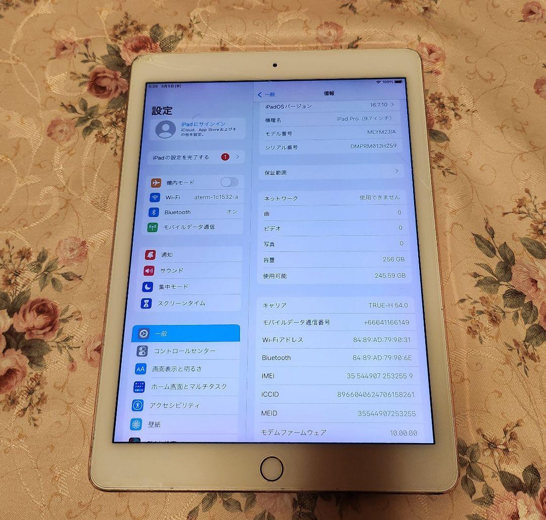 Apple iPad 256GB ローズゴールド 本体 iPad Pro 9,7 (recondicionado), Rose Gold, 256GB WiFi | Amazon.com.br