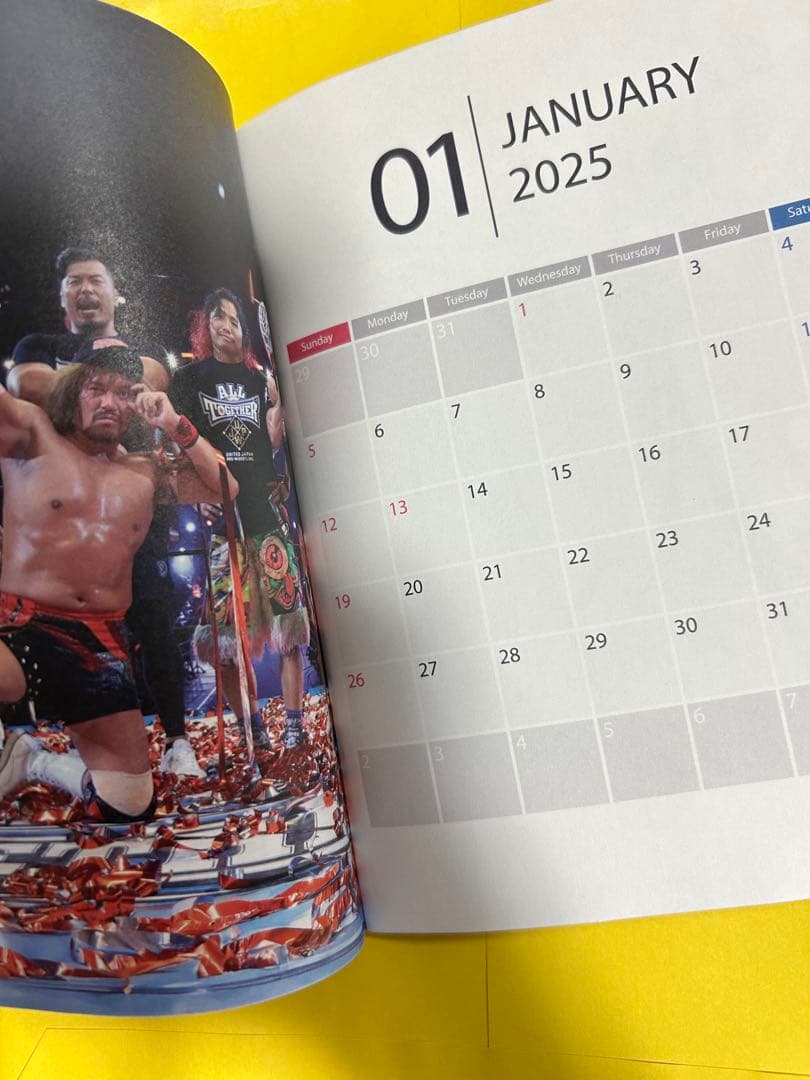 新日本プロレス ロスインゴベルナブレスデハポン 2025年 スケジュール