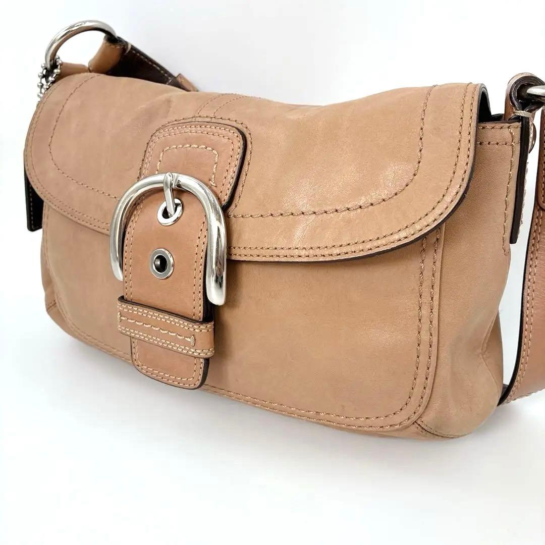 COACH Soho One-Shoulder Handbag Brown - メルカリ