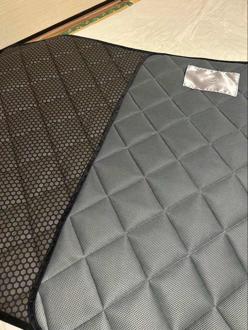 【バイオパウダー付】カーリスパッド 大 テラソフト 2026年最新】カーリスマットテラソフトの人気アイテム - メルカリ