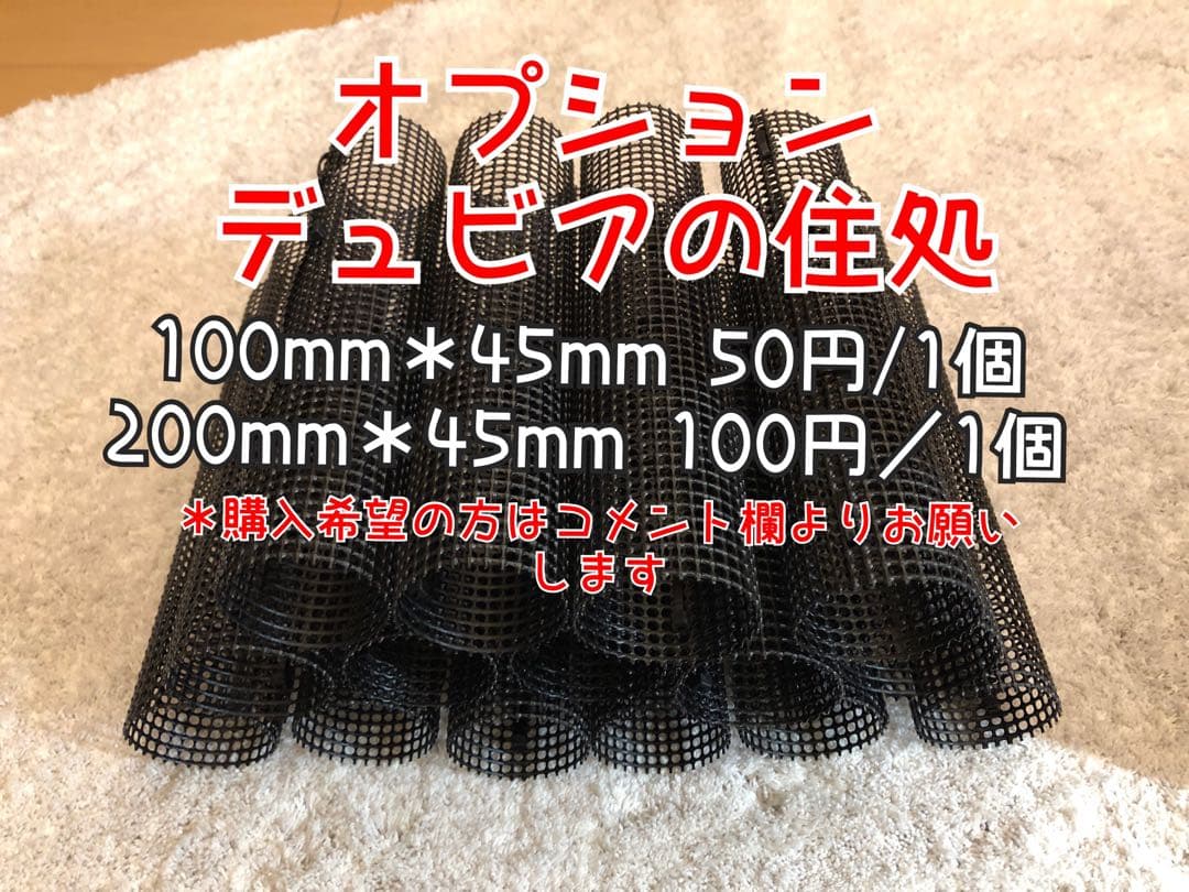 雫工房 デュビア用飼育・繁殖ケージ 大型 二重底上段メッシュ底構造