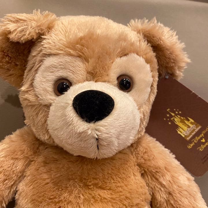 WDW【ダッフィー・タン・ディズニー・ベア・タグ全て有】未使用袋付