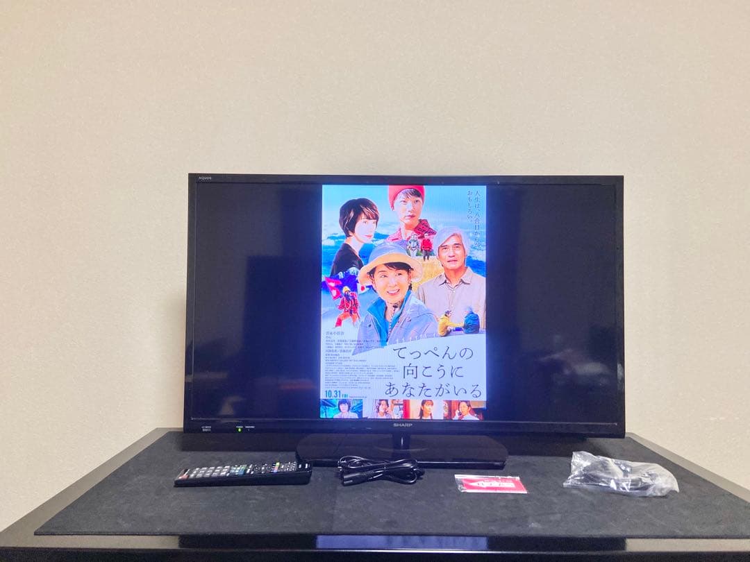 今だけ優待価格】SHARP AQUOS 32V型HD・裏番組録画(外付HDD) cosaga.com