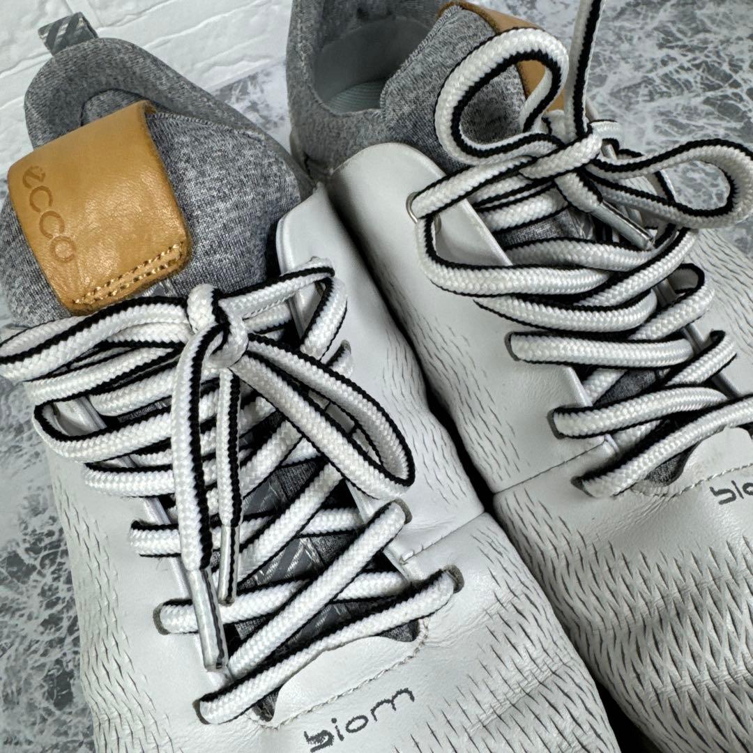 廃盤品 エコー ゴルフ メンズ シューズ バイオム 26.5cm ゴアテックス