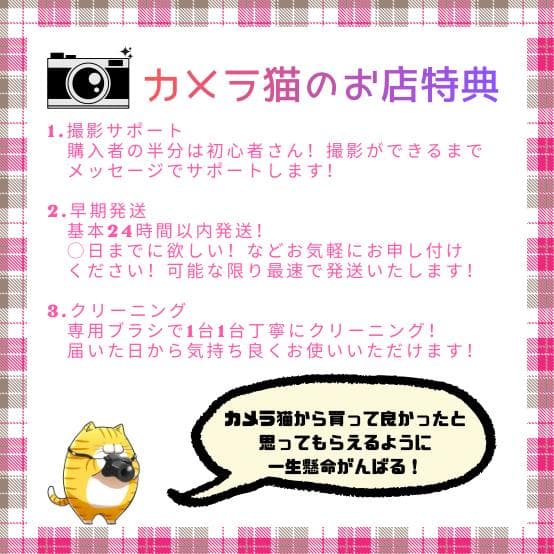 ✨美品✨望遠レンズ✨Canon EF 90-300mm F4.5-5.6 USM