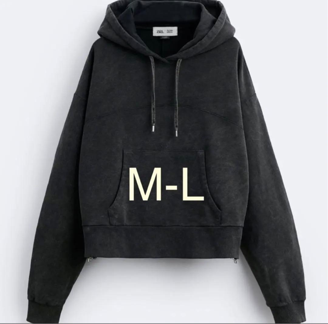 zara maison special パーカー - メルカリ