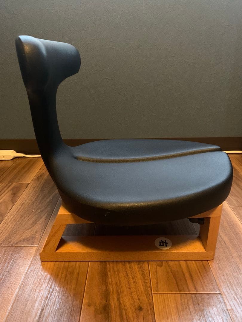 ayur chair medical seat アーユルチェア 座椅子