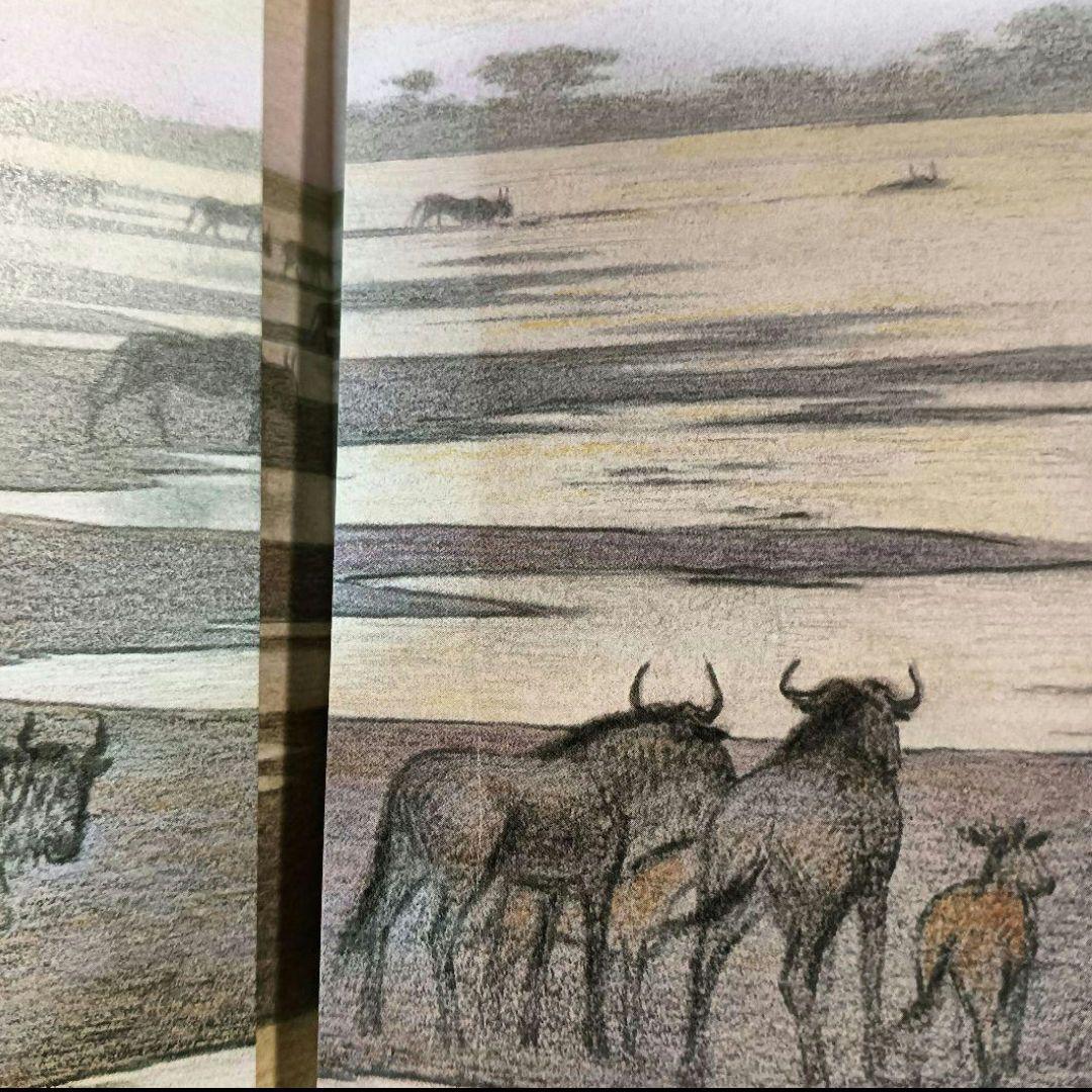 【希少】【絶版】吉田遠志　動物絵本シリーズ《アフリカ》14冊セット