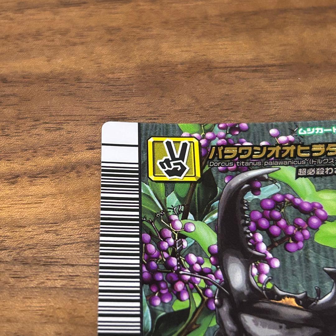 パラワンオオヒラタクワガタ ムシキング 5周年コレクションカード