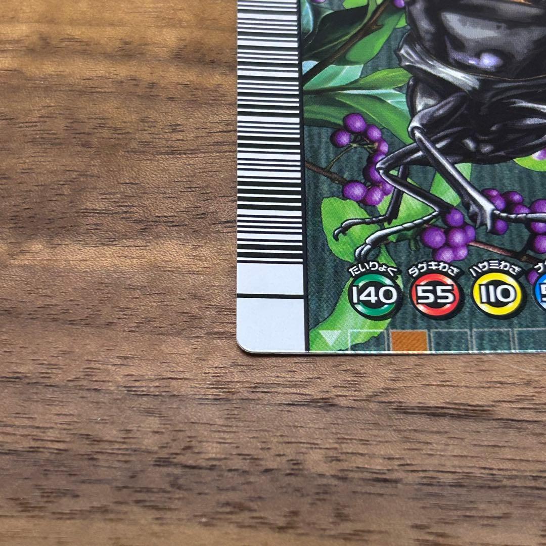 パラワンオオヒラタクワガタ ムシキング 5周年コレクションカード