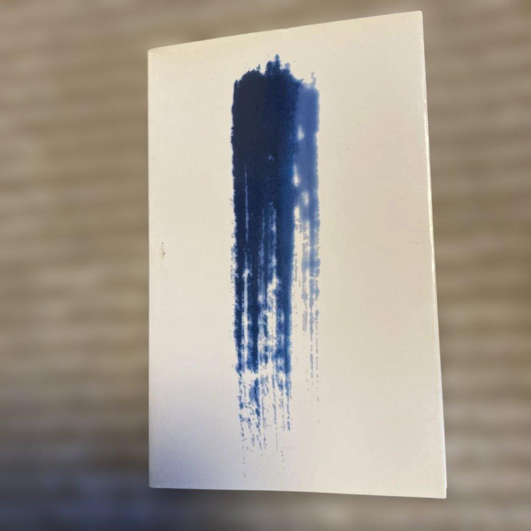 絶版希少本　藍 医色同源　岩城完三、栗本雅司　2001年　薬用植物としての藍