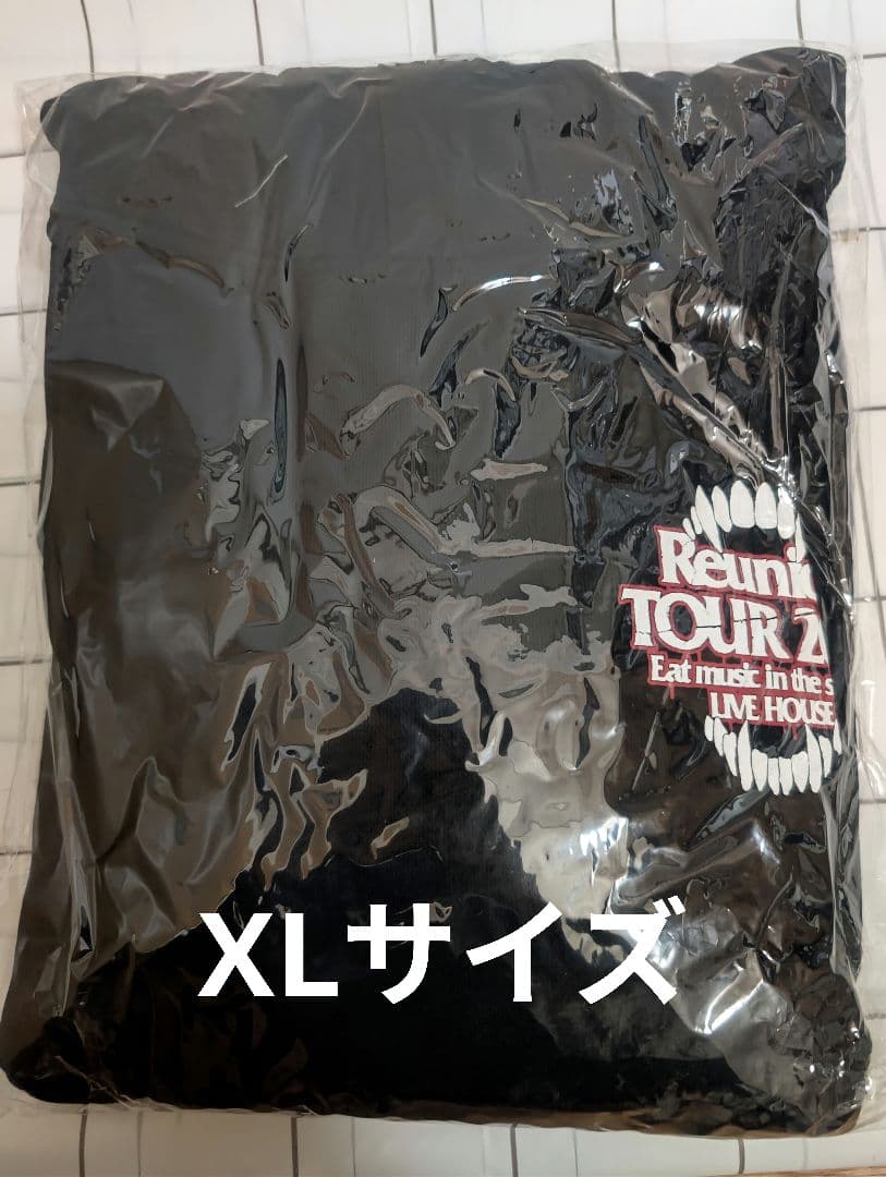 Reunion TOUR HOODIE XLサイズ b50a95bed96d031a2246db3fb9f4e3