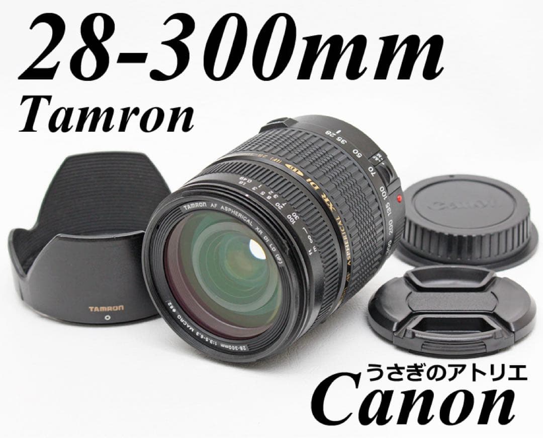 キヤノン用28-300mmズームレンズ⭐️Canon⭐️EOS Kiss⭐️広角〜望遠 EOS Kissシリーズにおすすめレンズ6選！キットレンズでは物足りない