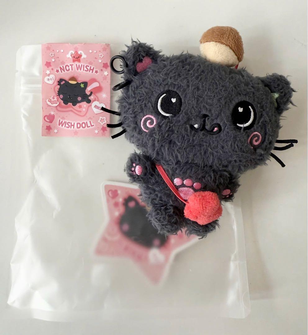 NCTWISH リク WISHDOLL ぬいぐるみ MD Steady 開封済み - メルカリ