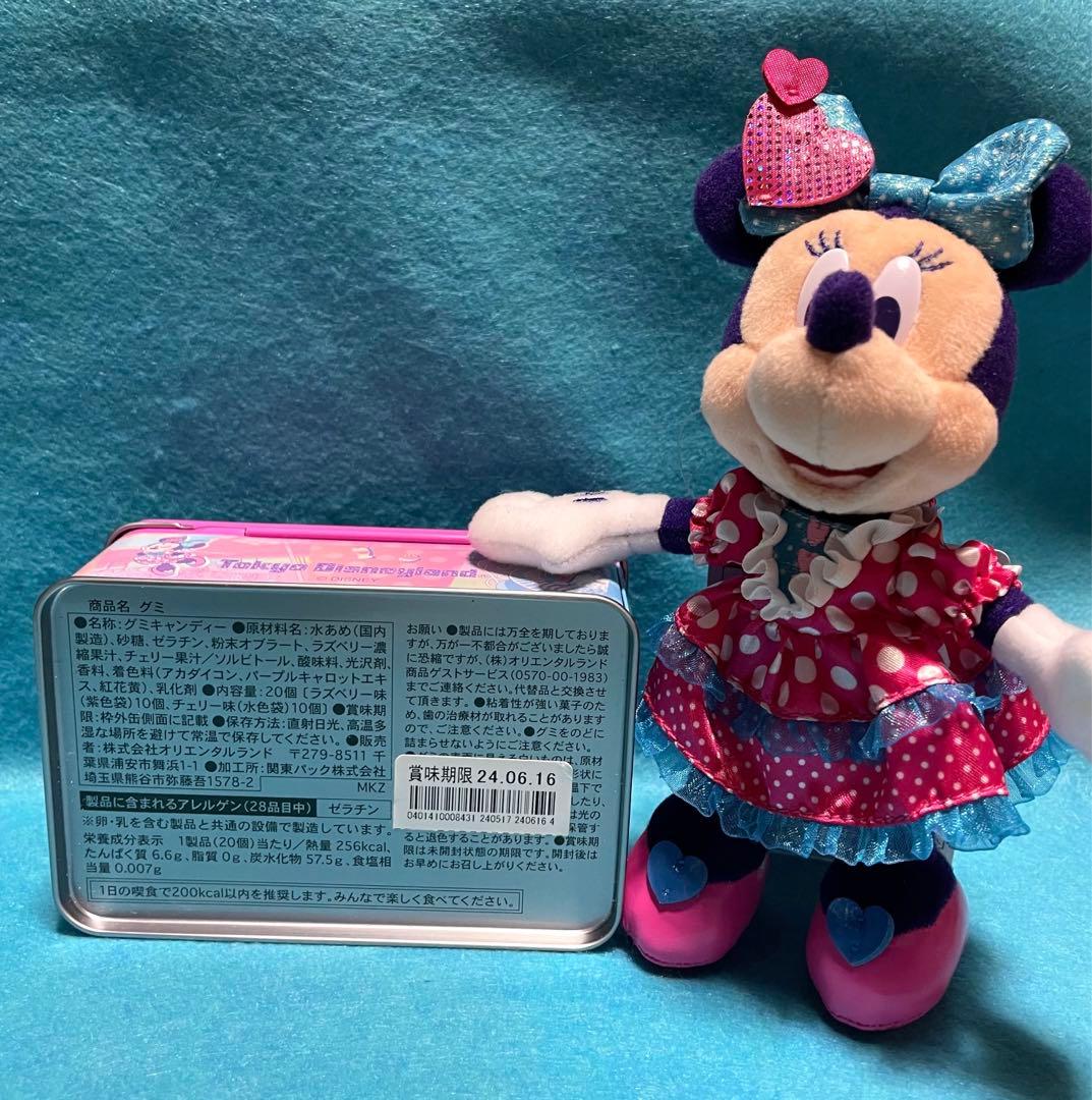 東京ディズニーランド ミニーのファンダーランド ぬいぐるみバッジ