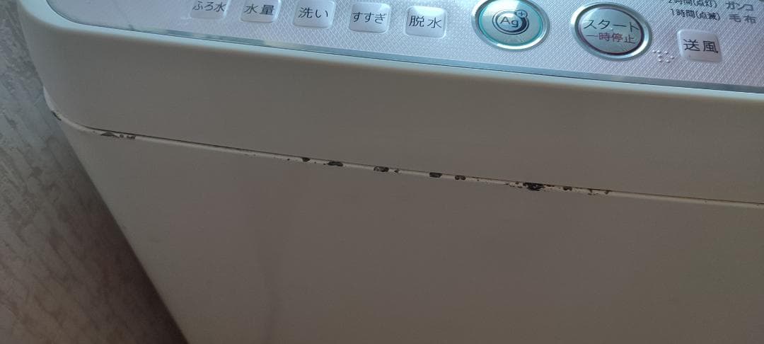 縦型式洗濯機 6.0L ホワイト