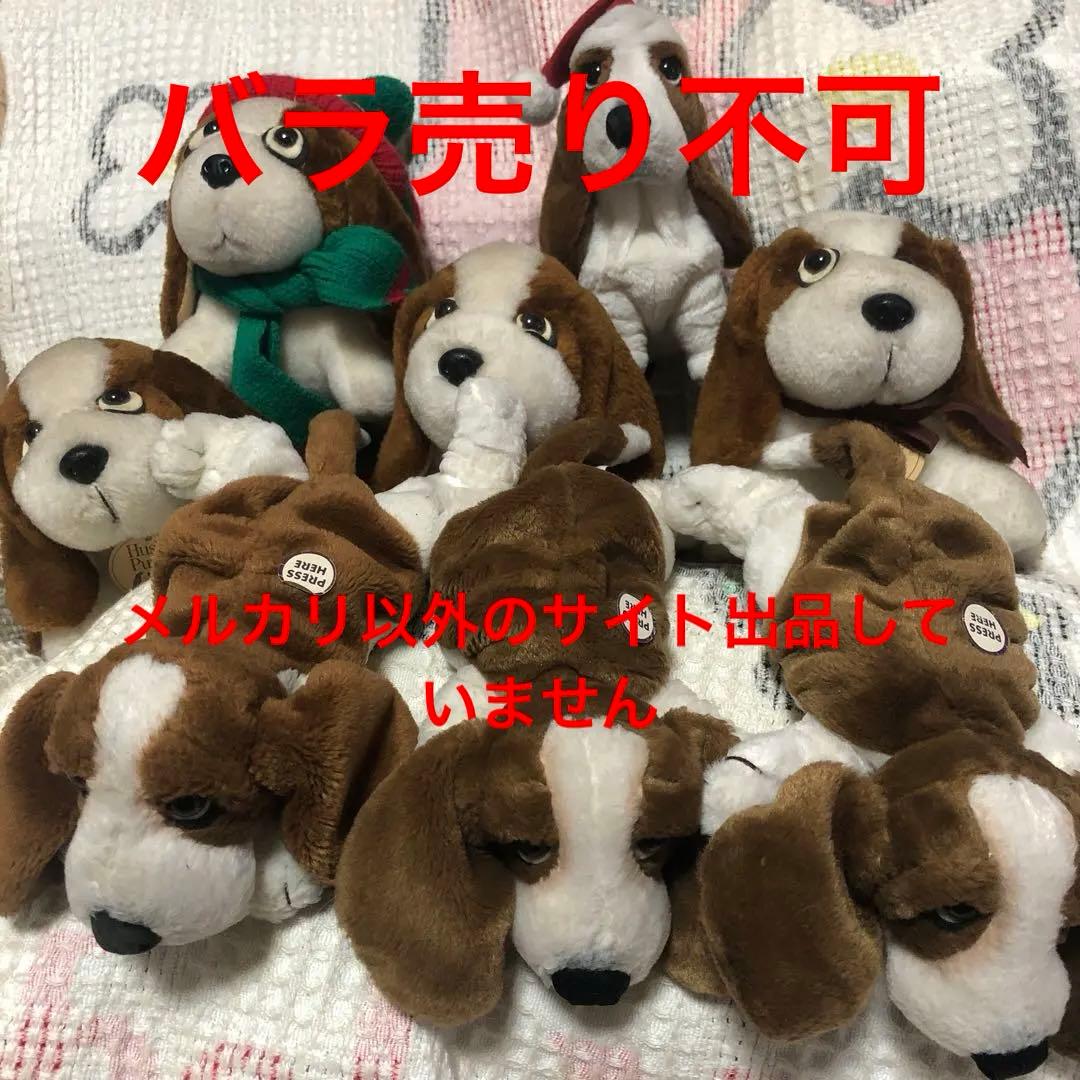 Hush Puppies ハッシュパピー 犬 ぬいぐるみ 8コセット 中古品 - メルカリ