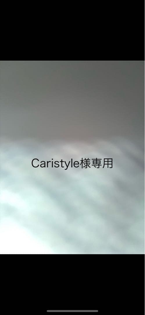 バッグ Caristyle CTX-2_2_Carbon.jpg?v=