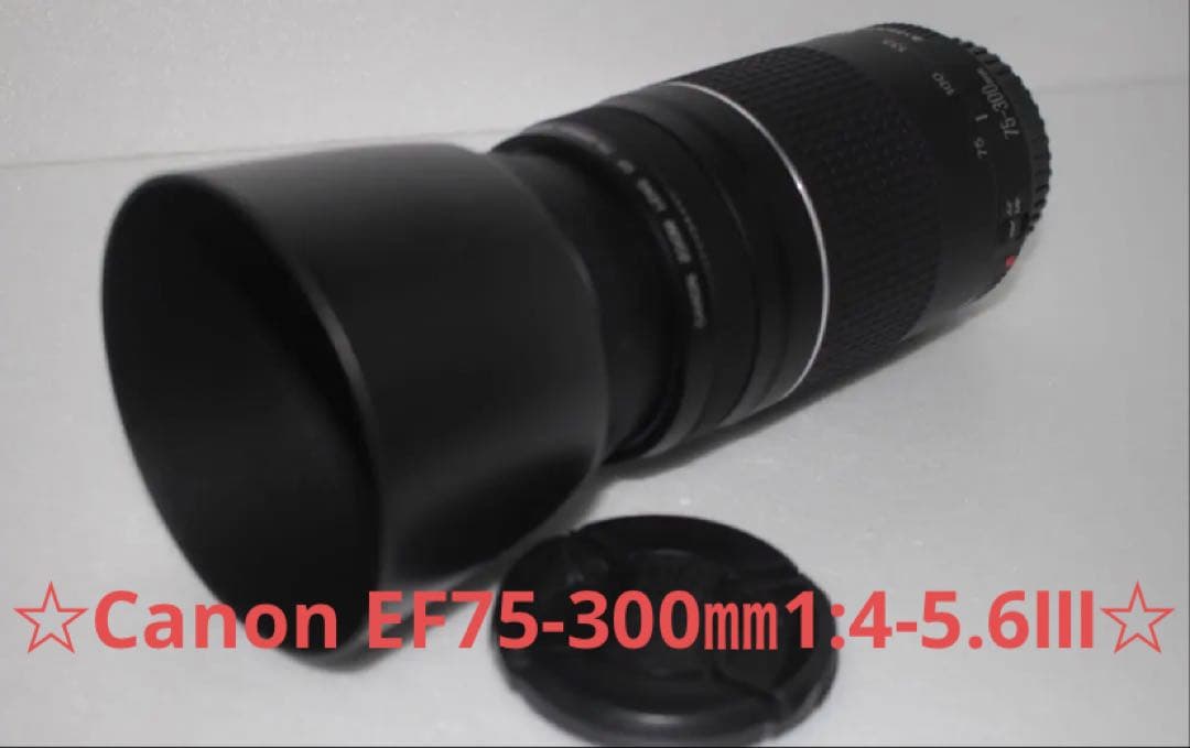 望遠レンズ/スポーツ/イベント等/Canon EF75-300㎜1:4-5.6Ⅲ Amazon.com : Canon EF 75-300mm f/4-5.6 III Telephoto Zoom Lens for