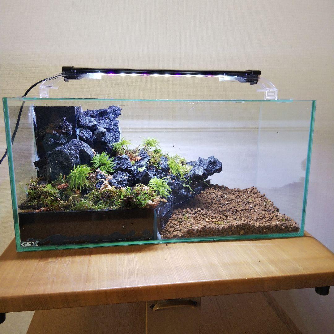 受注生産】滝のあるアクアテラリウム イモリウム 苔テラリウム アクア