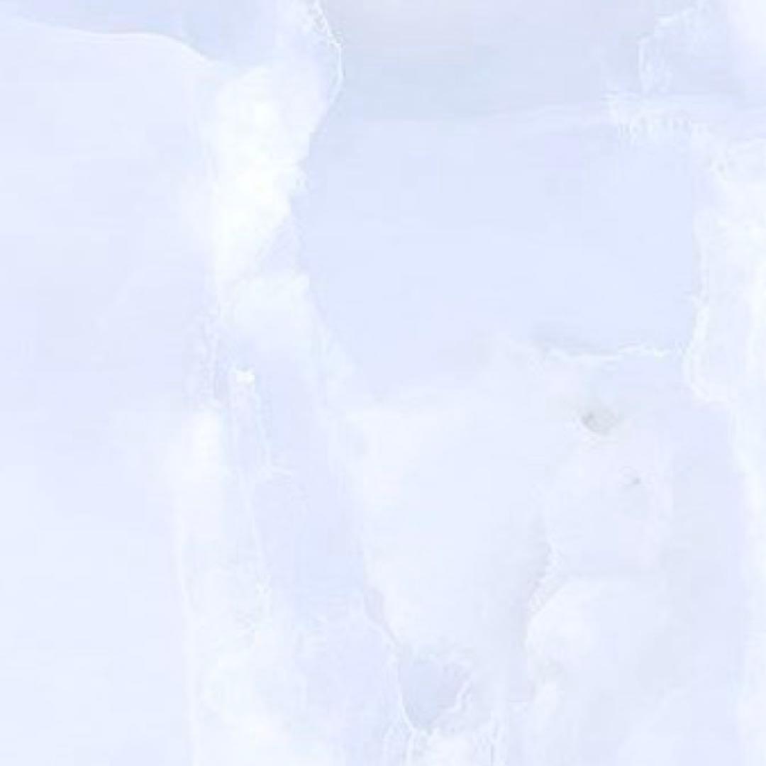 めろ♡ 2024】Ninja ZX－25R SE／KRT EDITION