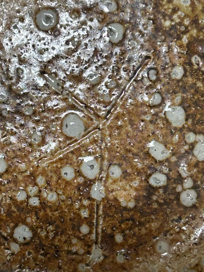 灰釉 平向付 5枚組 (伊賀焼 高台皿) 蓮善隆 作