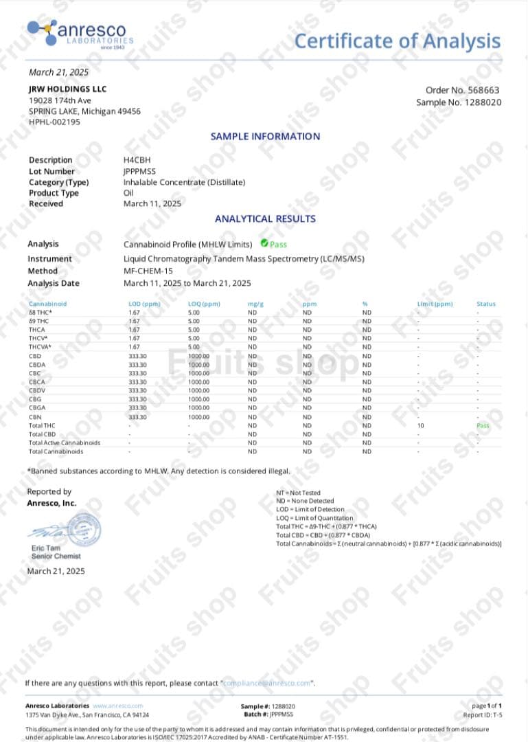 H4CBH リキッド 0.5ml×2本 【玄人向け】　CBN/CBG/CBD