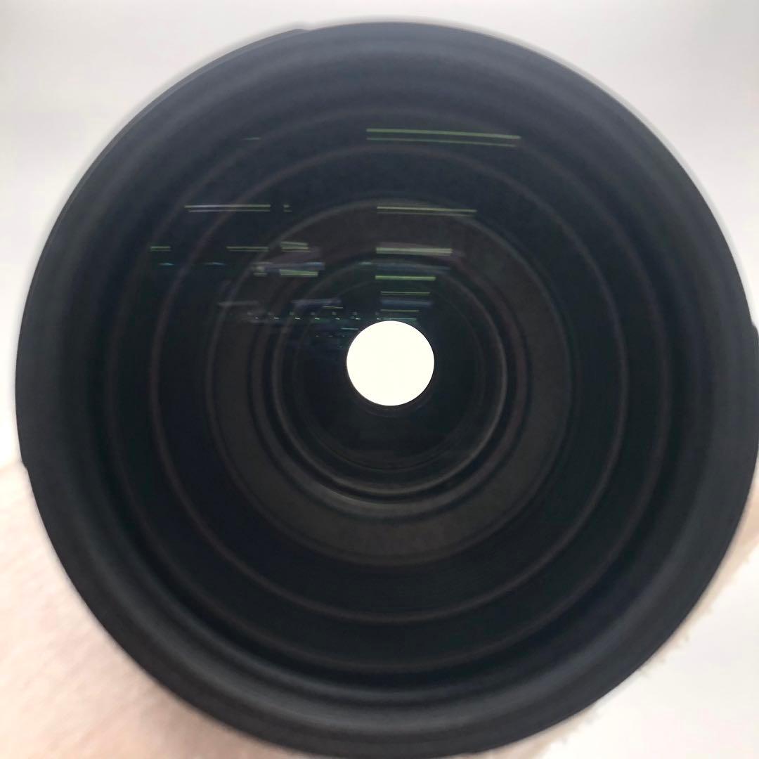 R シグマ　レンズ　SIGMA 100-400mm f/5-6.3 DG