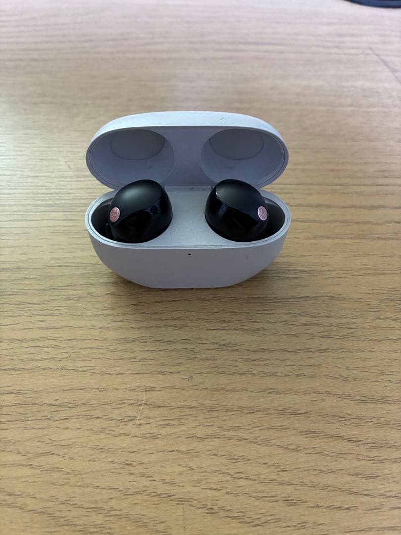 SONY WF-1000XM5 チョコミントさん専用 - イヤホンお 得 な 通販 サイト