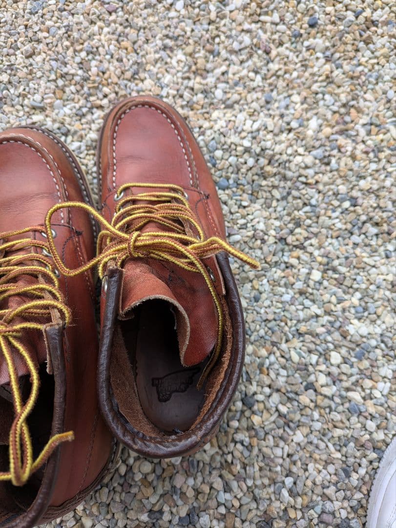 レッドウイング8875 7.5E