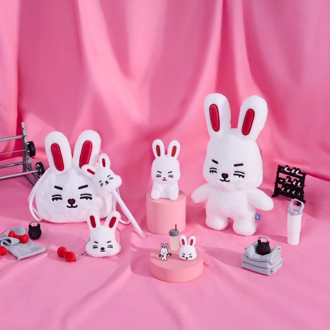 エスクプス SEVENTEEN ミニティーン ぬいぐるみ 20cmポップアップ