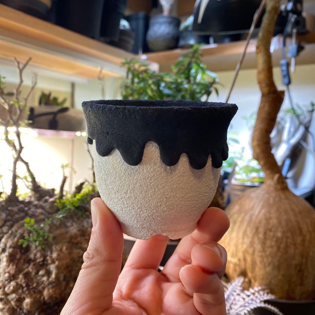 left botanical 植木鉢 未使用品 - メルカリ