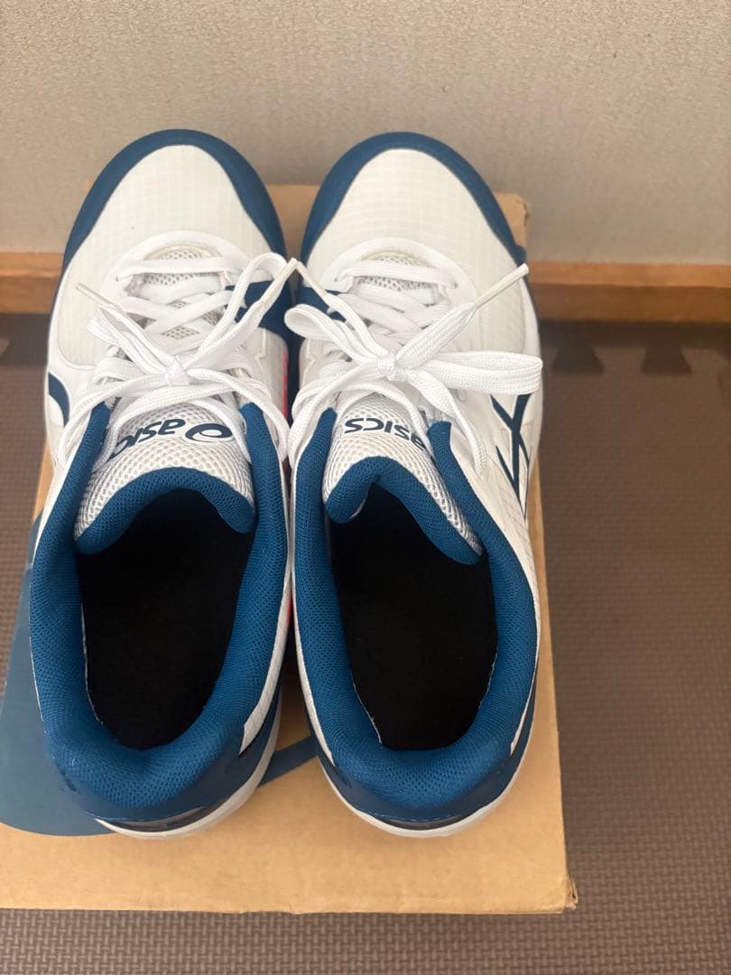 asics GORE-TEX 安全靴 26.0cm