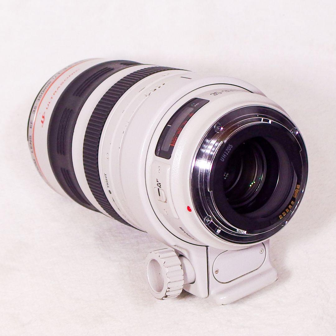 実用 美品 Canon EF 35-350mm F3.5-5.6 L USM