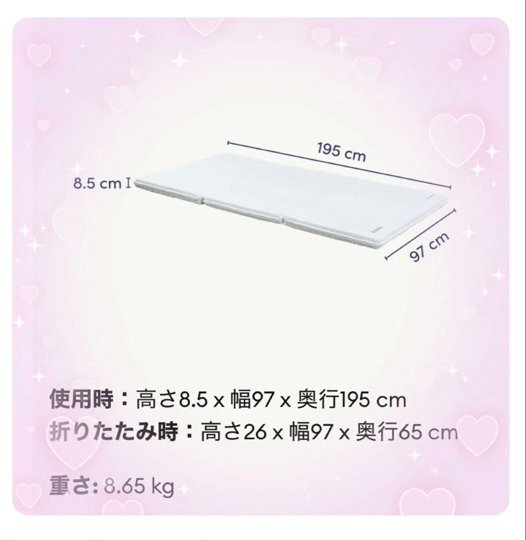 ✨快適快眠✨コアラフトン OASIS シングル 布団 三つ折り コアラ(R