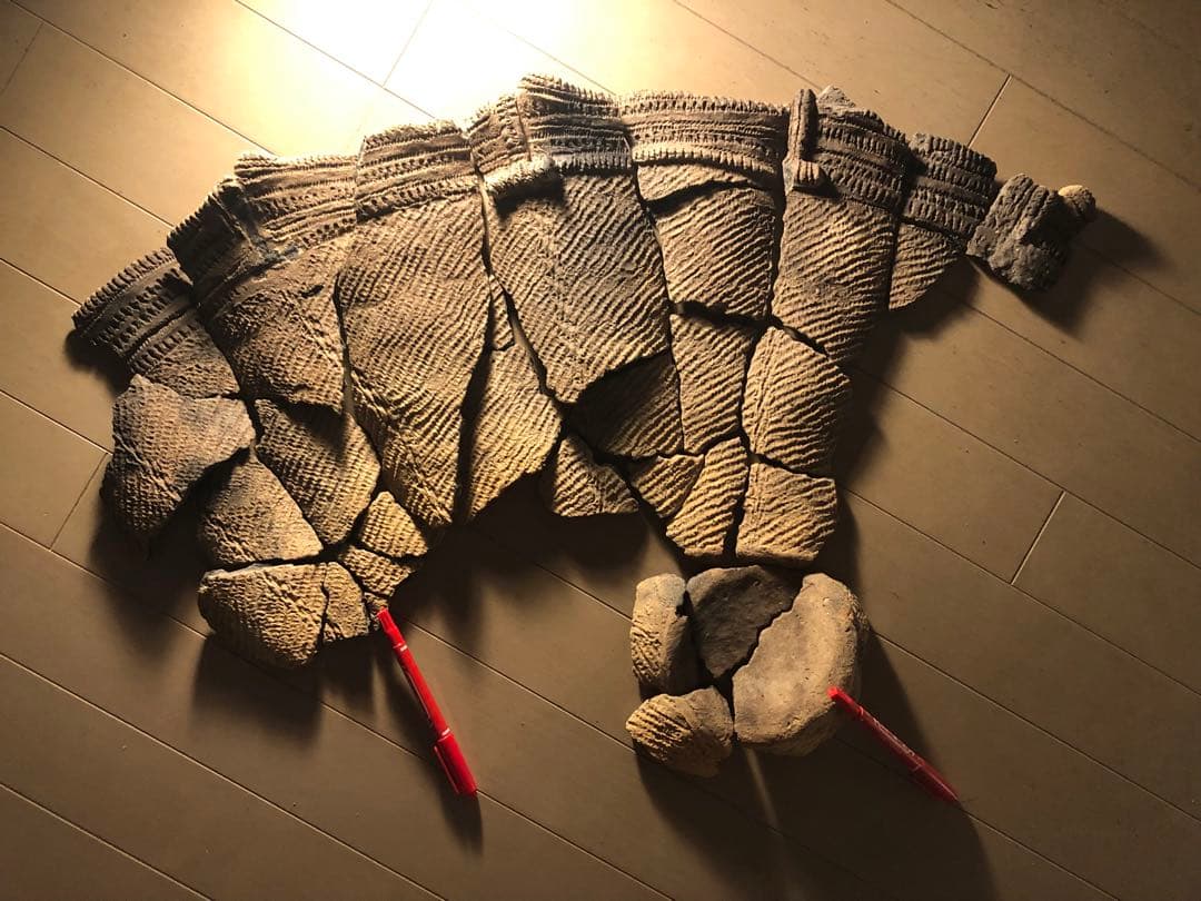 縄文土器の欠片 No.538」です。 - メルカリ