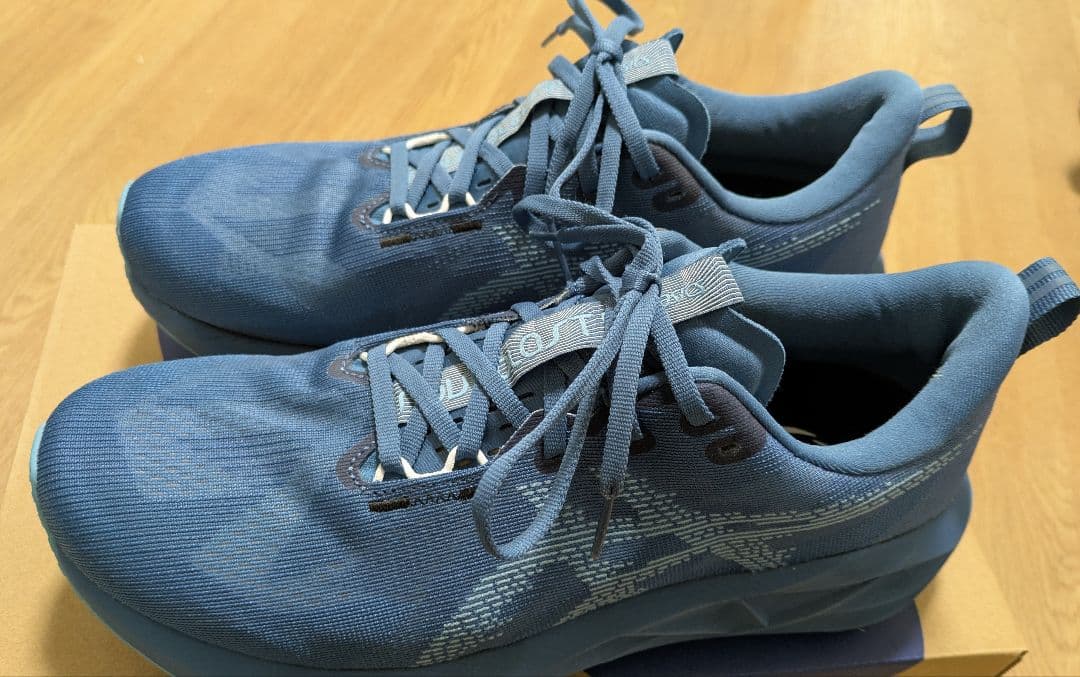 ASICS NOVABRAST5／アシックス ノヴァブラスト5 27.5 ASICS（アシックス） ノヴァブラスト 5 1011B974-407 メンズ