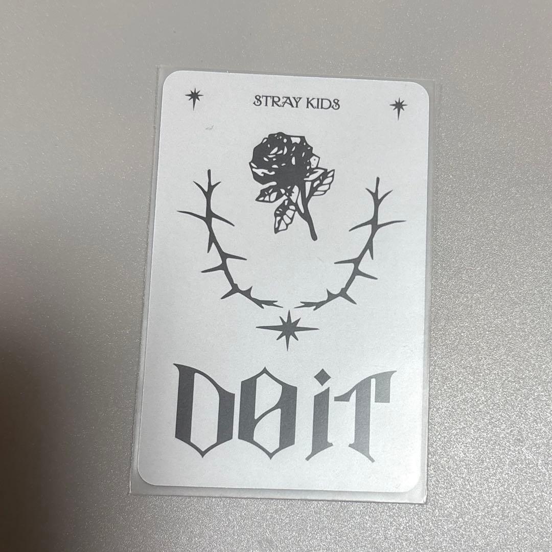 StrayKids スキズ DOIT skzoo スピーカーver スンミン - メルカリ