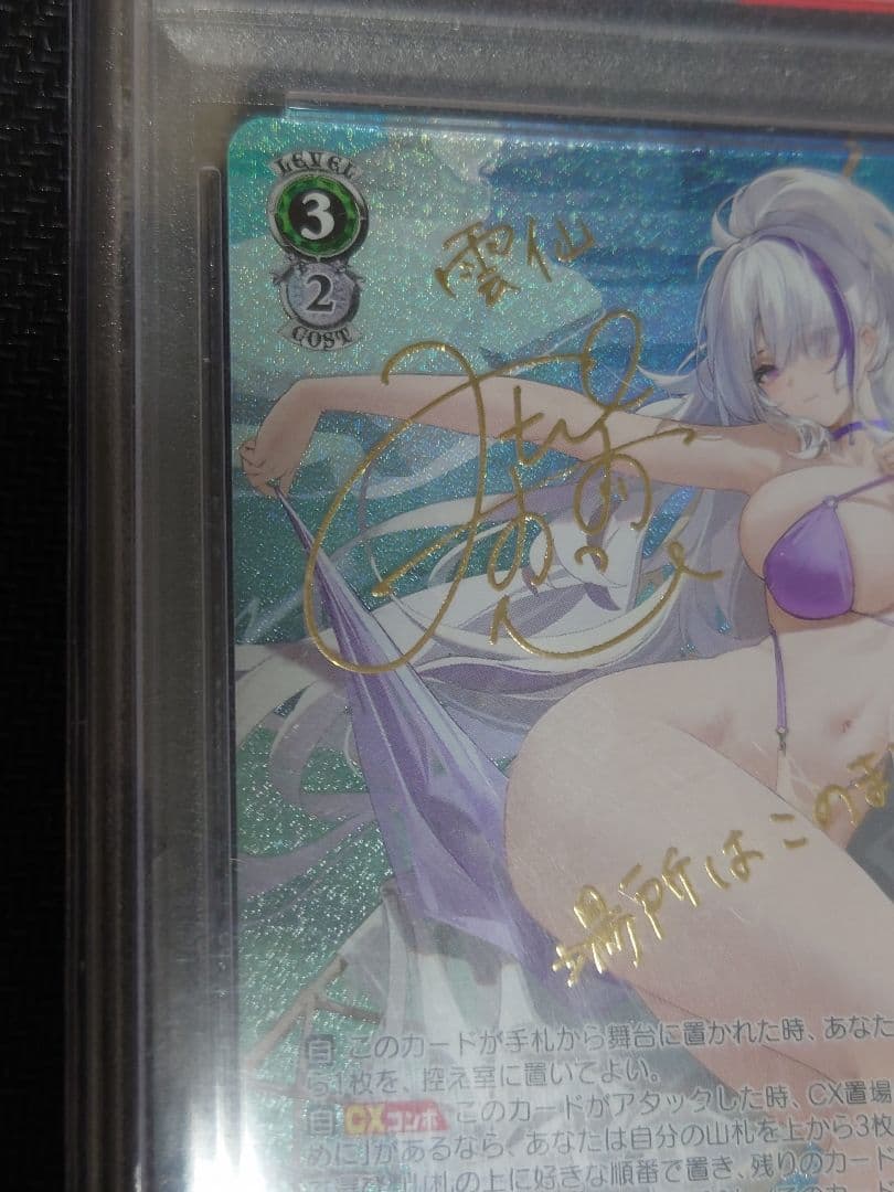 雲仙 SP PSA10 ヴァイスシュヴァルツ S119-044