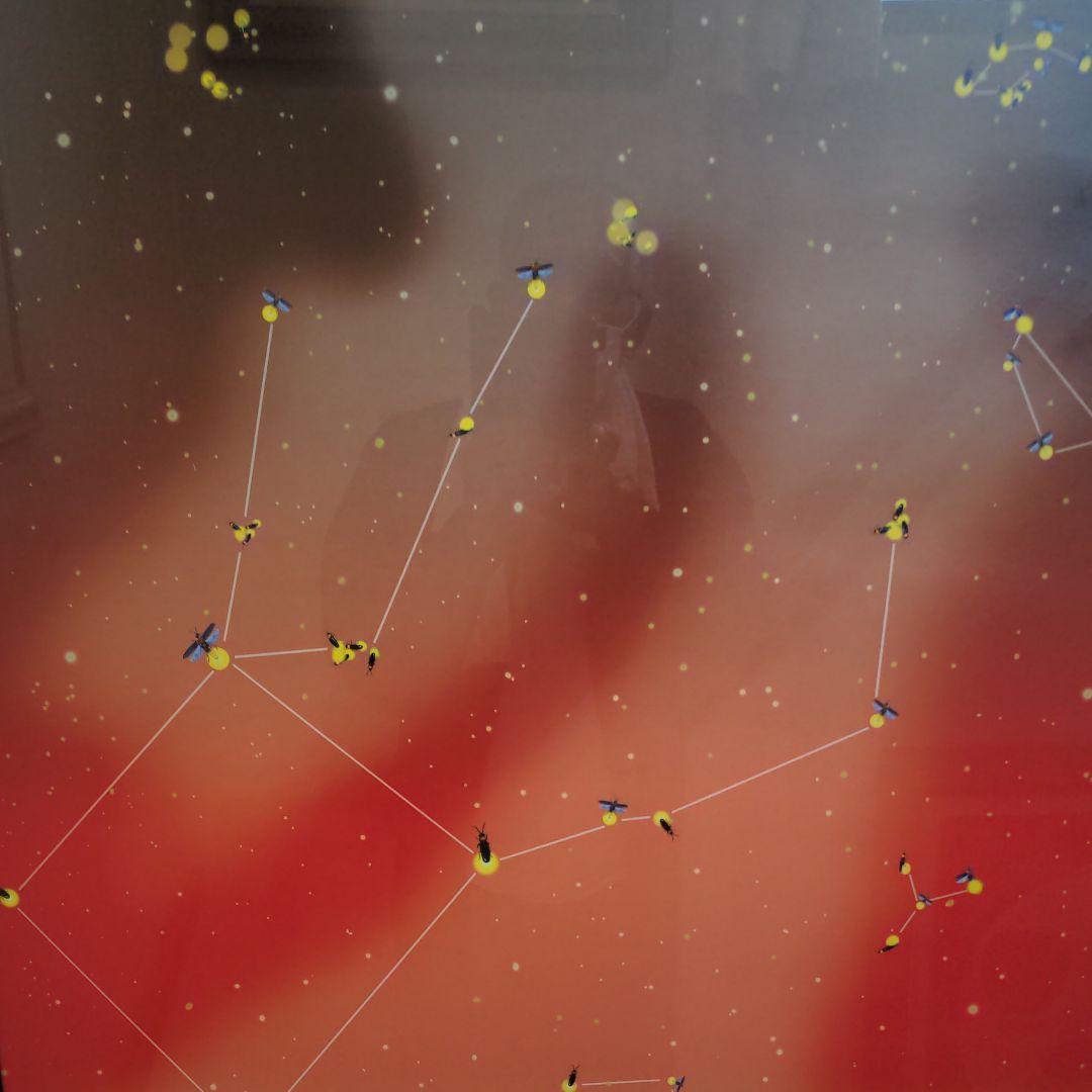 ヤンマーさん専用 横尾忠則ポスター、山口県岩国市錦町、日本芸術院