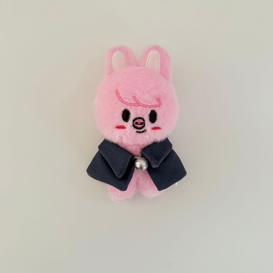 StrayKids SKZOO 10cm PLUSH ぬいぐるみ チャンビン - メルカリ