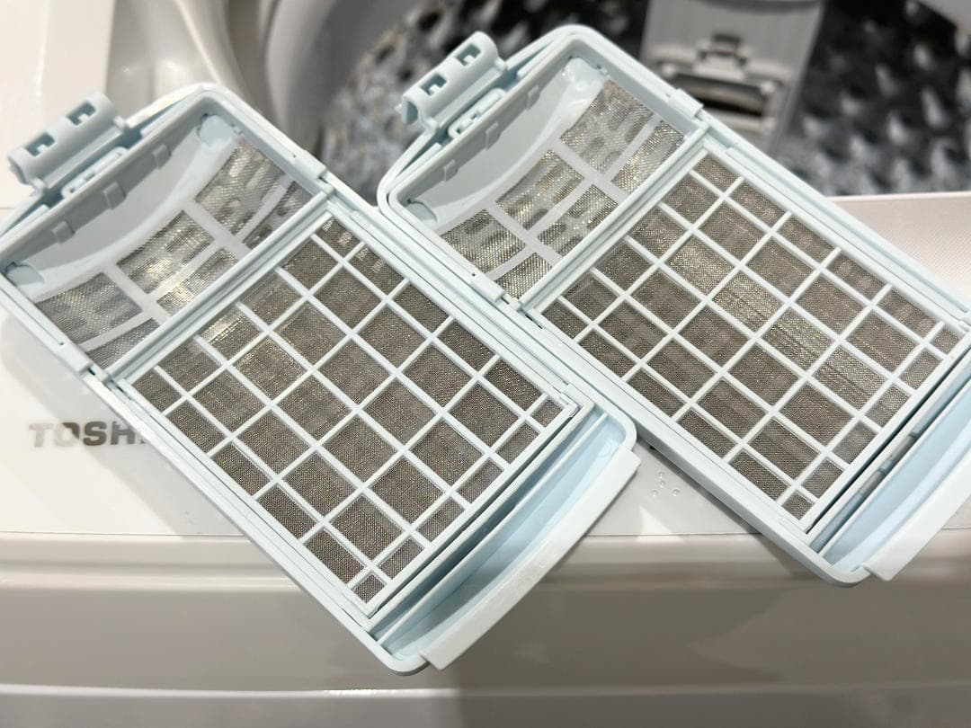 新生活 一人暮らし 送料無料 東芝 洗濯機 6.0kg 2024年製