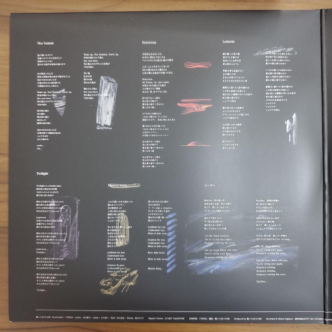 踊ってばかりの国 -moana- LPレコード