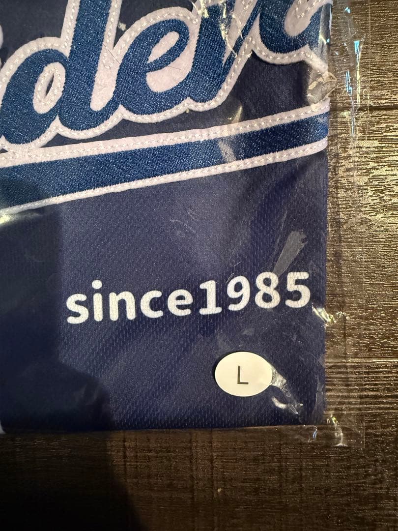 TUBE TUBE 40周年記念 アニバーサリーユニフォーム 横浜スタジア厶 RIDERS