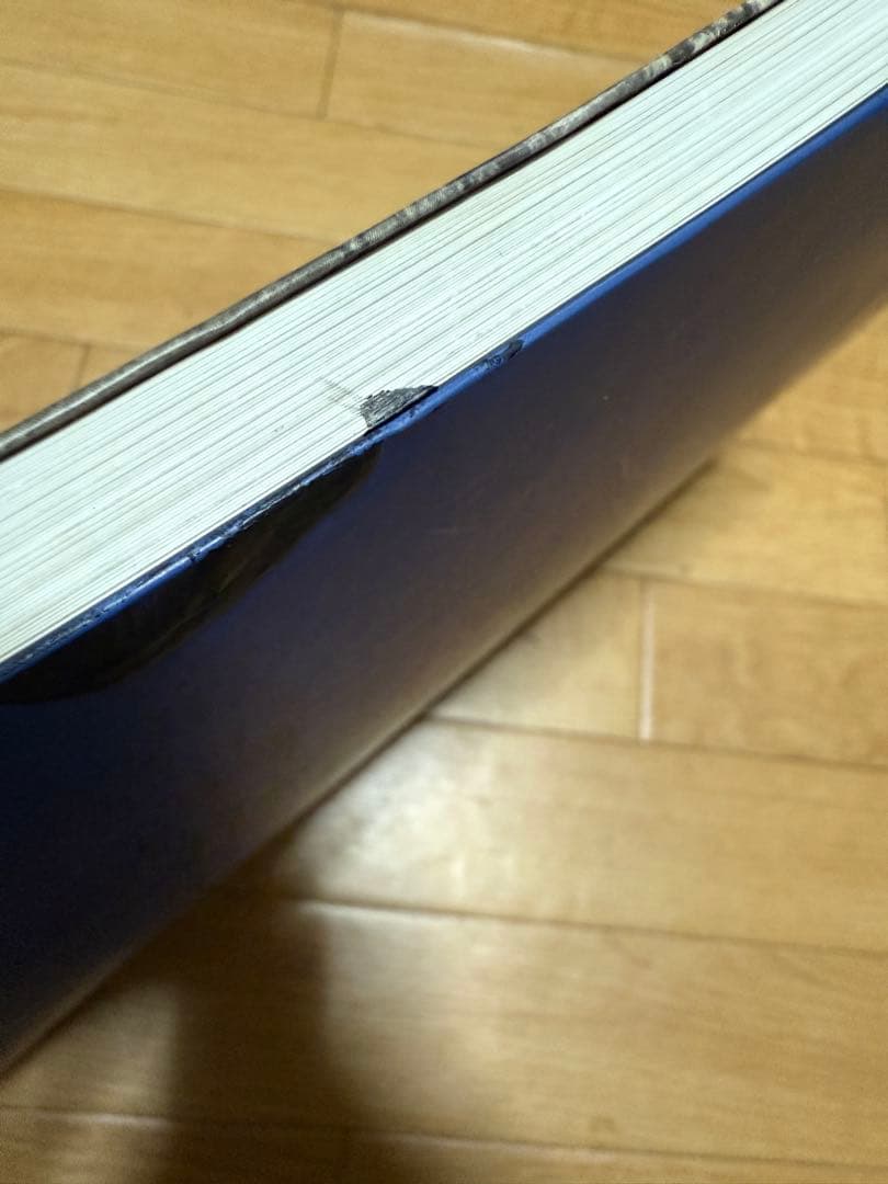 洋書 STRAIGHT BOYS