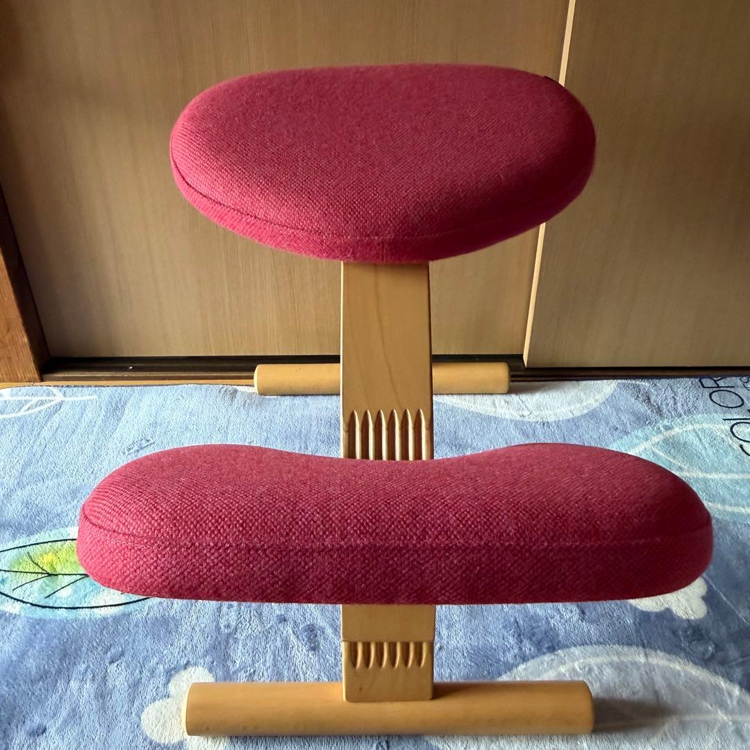 Rybo リボ バランスイージー バランスチェア 通常フレーム カバー付き