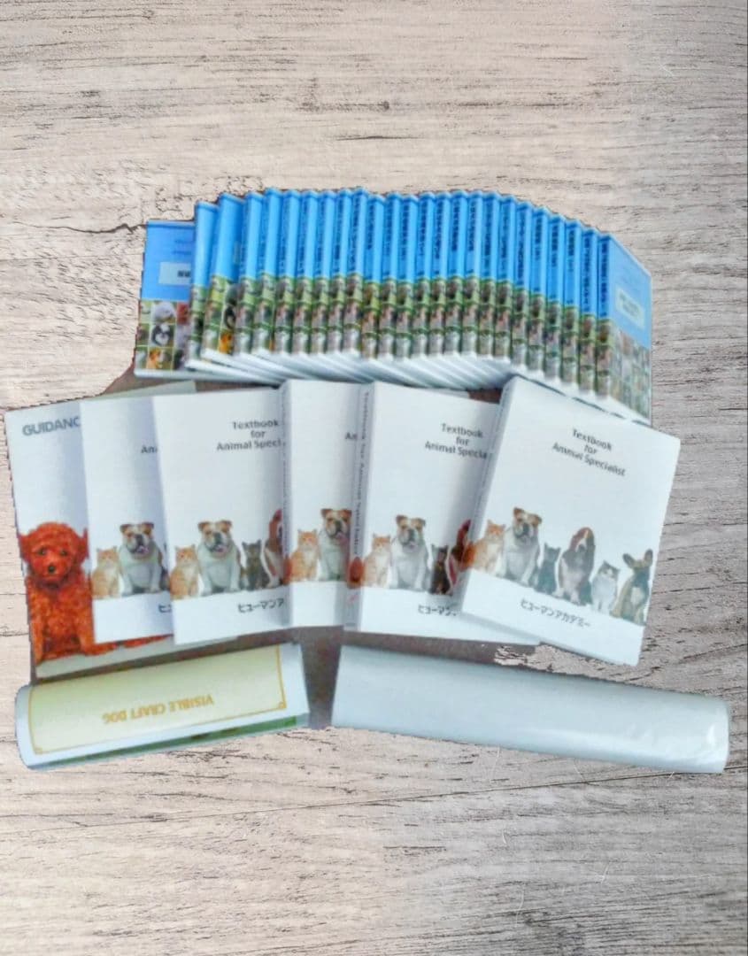 ドッグトレーナープロフェッショナル講座　ヒューマンアカデミー　テキスト DVD ドッグトレーナープロフェッショナル講座 ヒューマンアカデミー