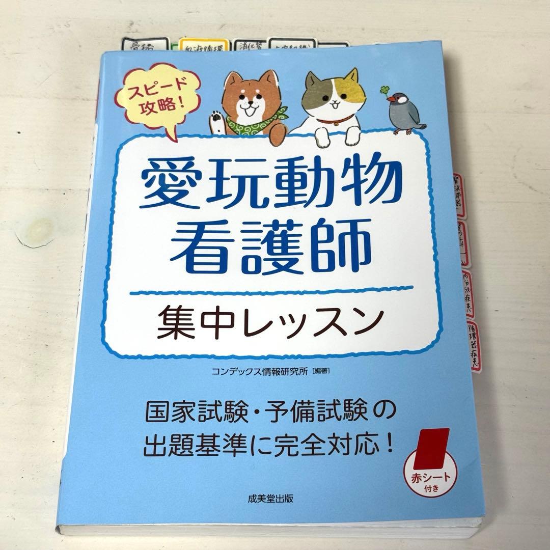 愛玩動物看護師集中レッスン 参考書 国家試験 - メルカリ