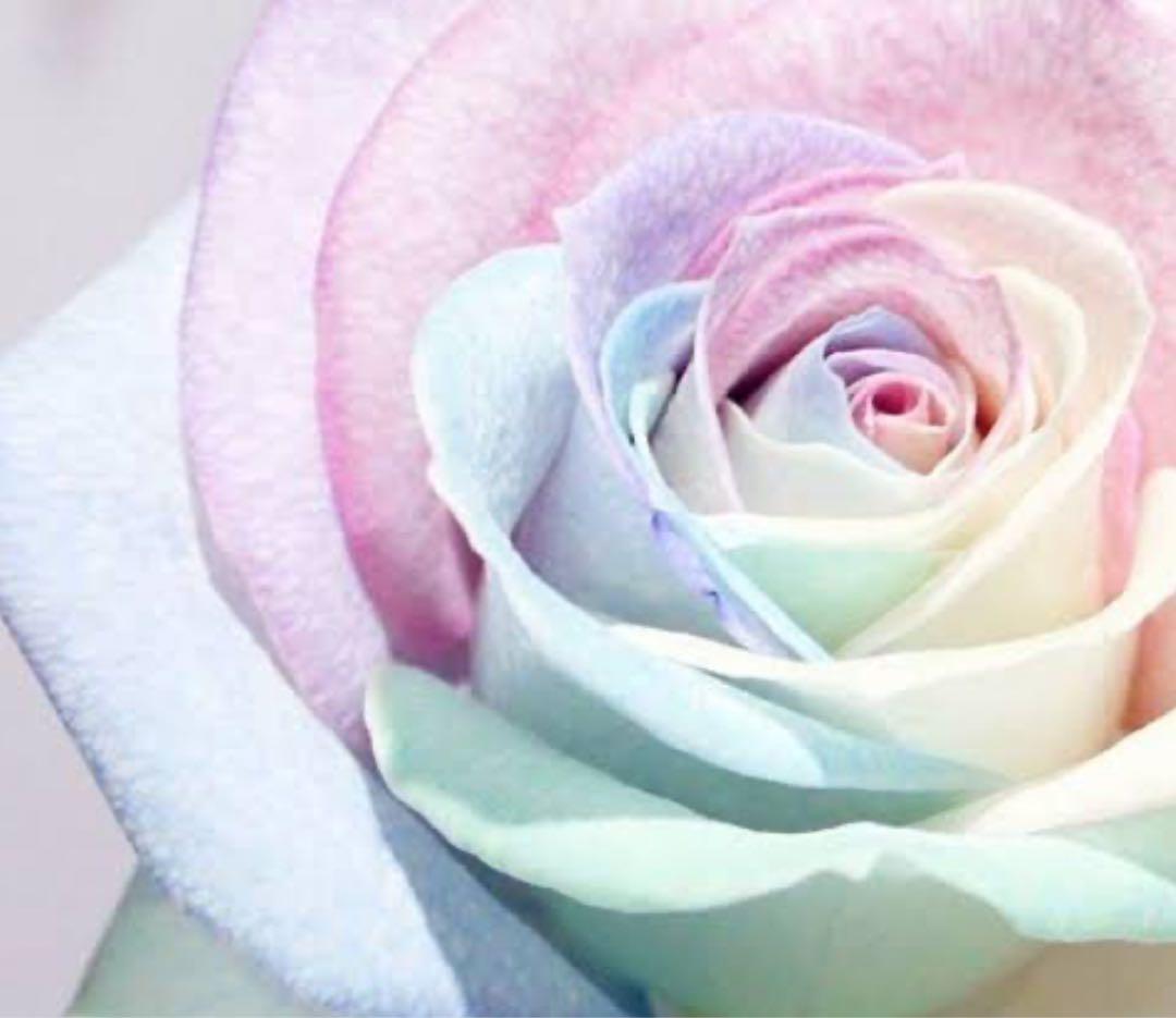 yu☆ コラゲリード2 ミルク EB9715A0750C8A2-square.png